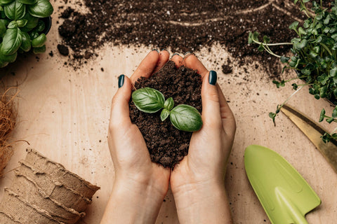 Beneficios de los Productos Compostables