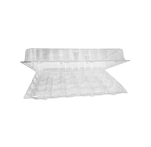 Domo PLA Compostable para 24 Cupcakes