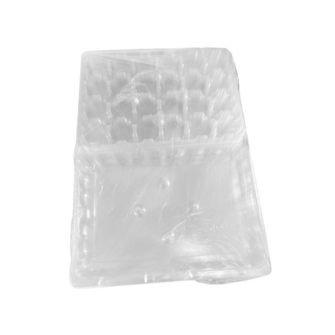 Domo PLA Compostable para 24 Cupcakes