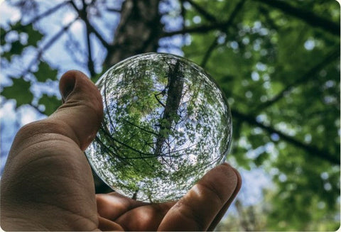 5 razones para usar desechables compostables