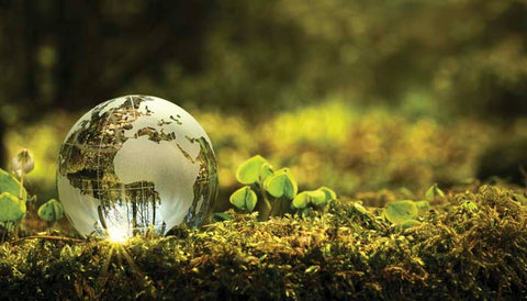 Sustentabilidad y sostenibilidad