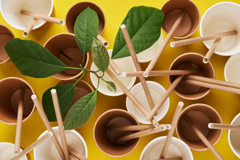Materiales realmente biodegradables. ¡No te dejes engañar!