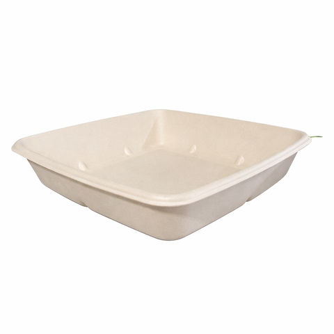 Pack Contenedor Cuadrado 1000 ml sin División + Tapa Compostable